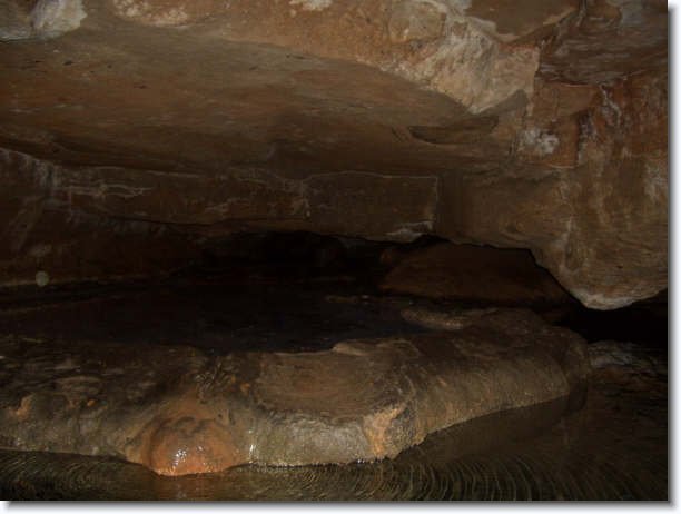 Diapositiva siguiente