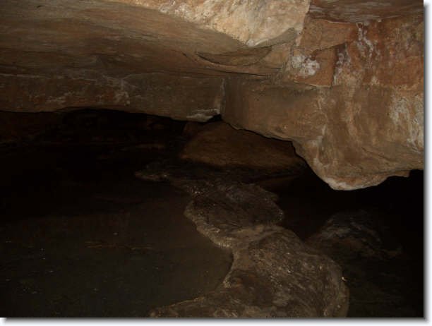 Diapositiva siguiente