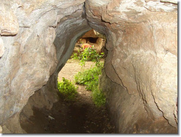 Diapositiva siguiente