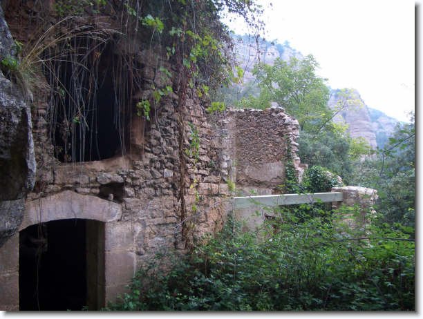 Diapositiva siguiente