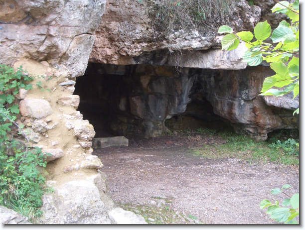 Diapositiva siguiente