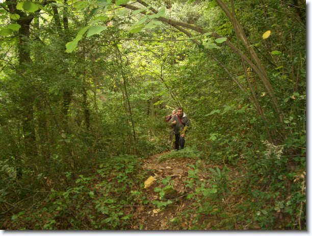 Diapositiva siguiente