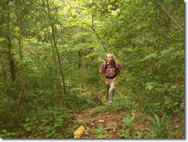 Diapositiva siguiente