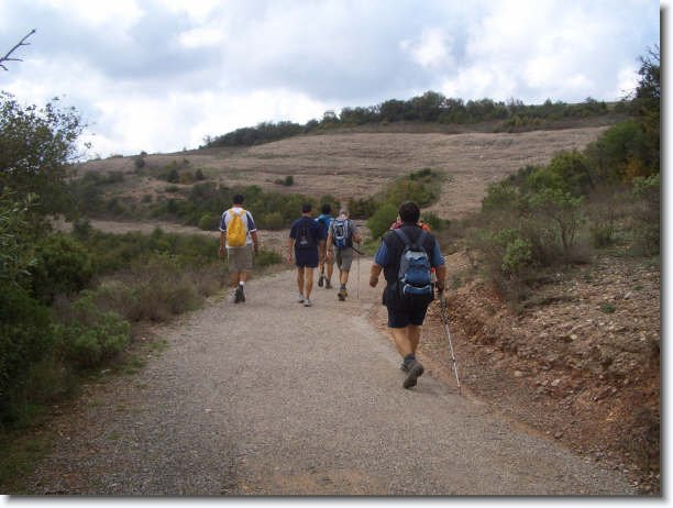 Diapositiva siguiente