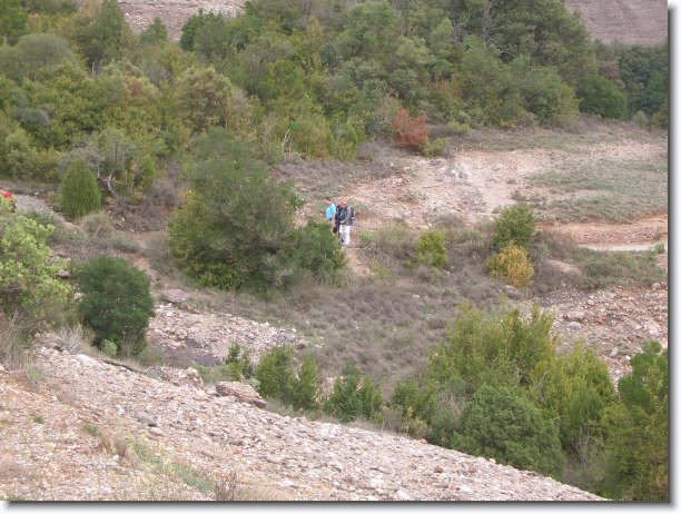 Diapositiva siguiente