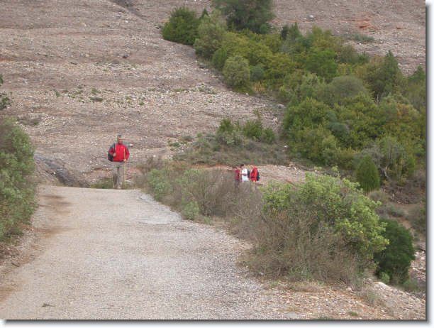 Diapositiva siguiente